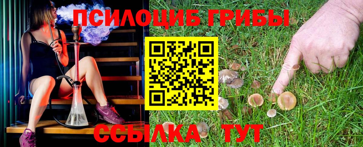 Галлюциногенные грибы Cubensis Алатырь