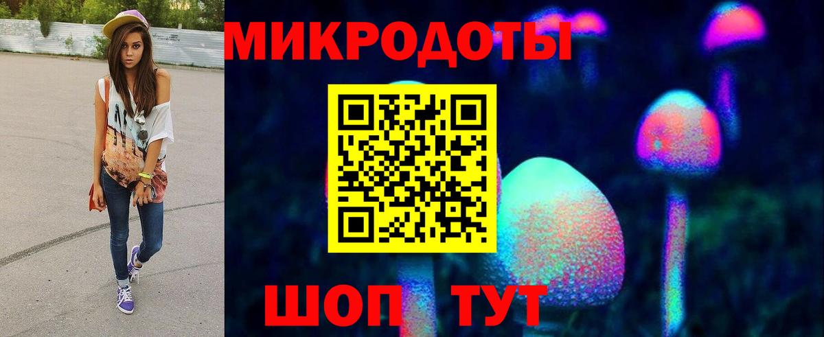 Алатырь  Псилоцибиновые грибы Psilocybine cubensis  Галлюциногенные грибы Cubensis  Вход с VPN 
